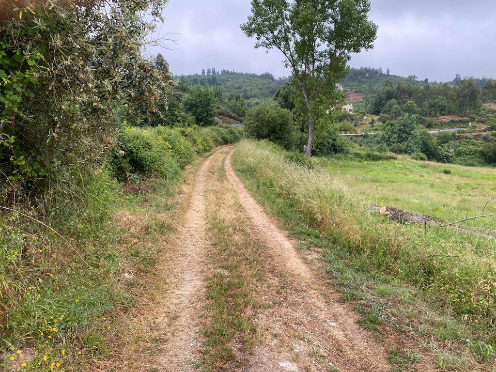 Quinta com Ruína - Oportunidade de Negócio - Image 24