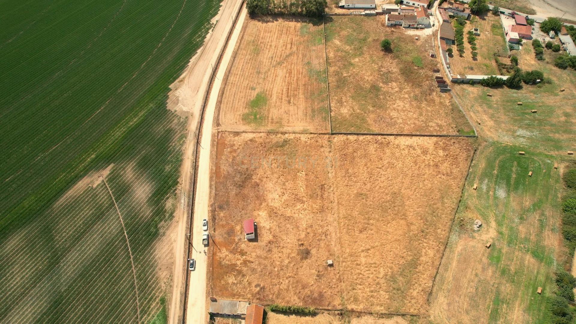 Fotografia 9 de Terreno com 8.700 m² no Rego da Amoreira — Alcochete