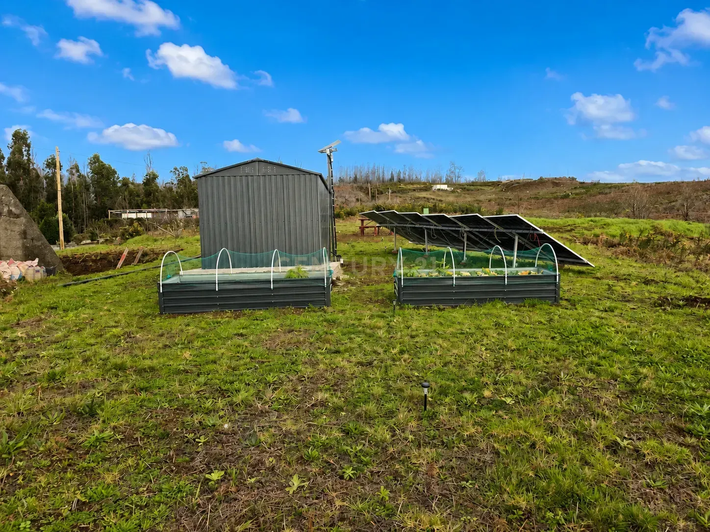 Fotografia 10 de Land with Two Haystacks for Sale - Fajã da Ovelha, Calheta