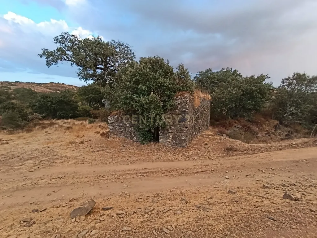 Terreno Misto, com 2 Ruínas, Moinho e Casa do Moleiro em Ribeira de Mira (Santa Clara-a-Nova). - Image 7