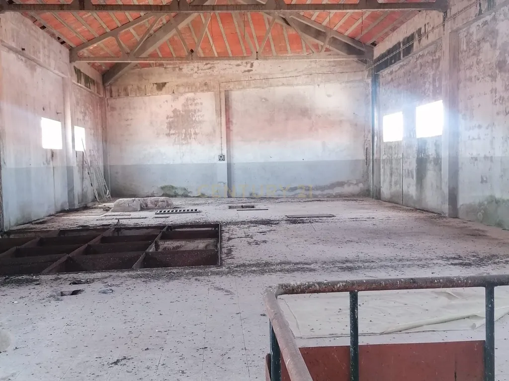 Armazém (565 m2 ) em pleno centro habitacional na Vidigueira para usar ou transformar! - Image 7