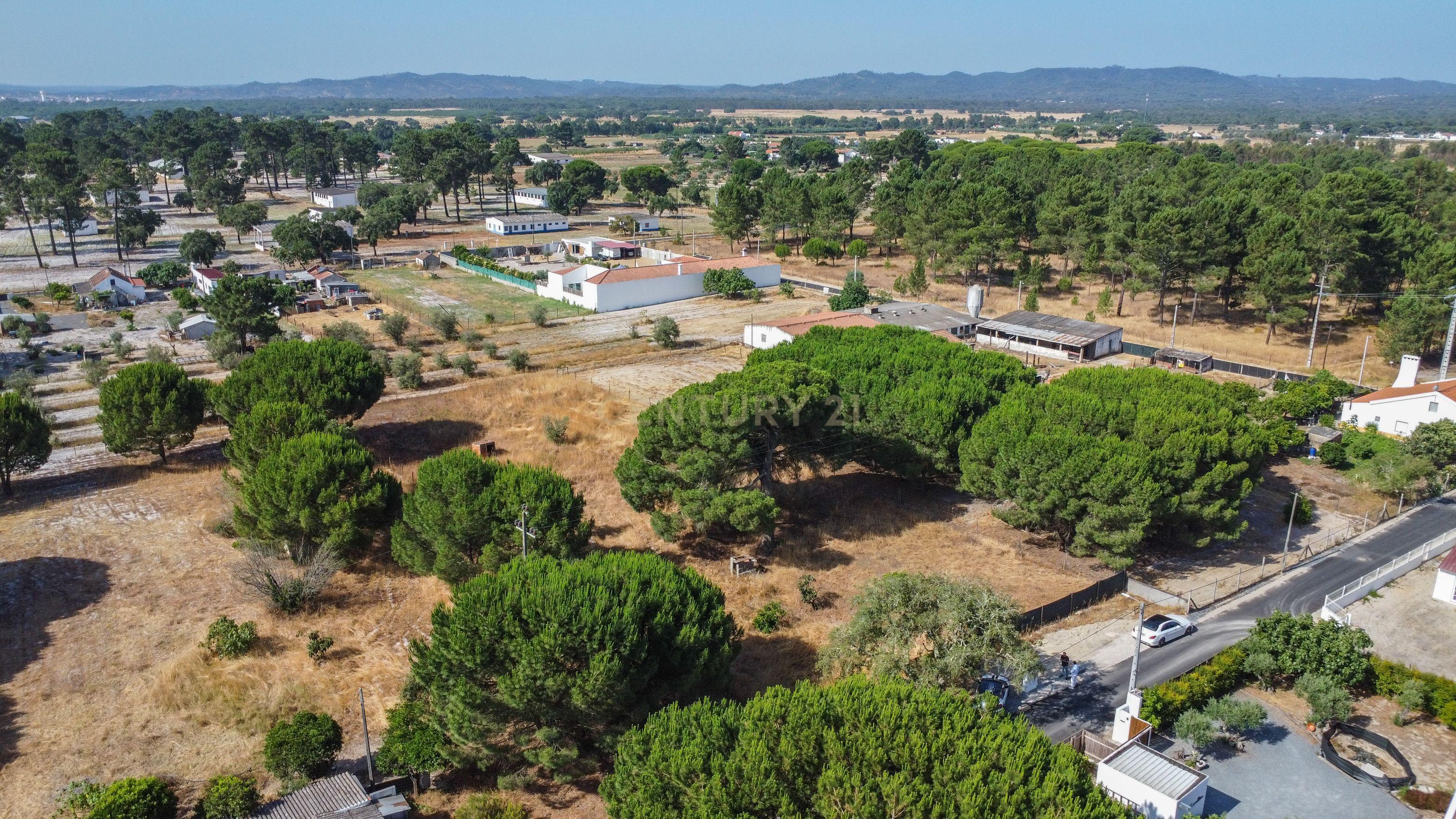 Fotografia 11 de Terreno rústico com 2.600 m² - Vale Gamito, Quinta do Amaro, Grândola