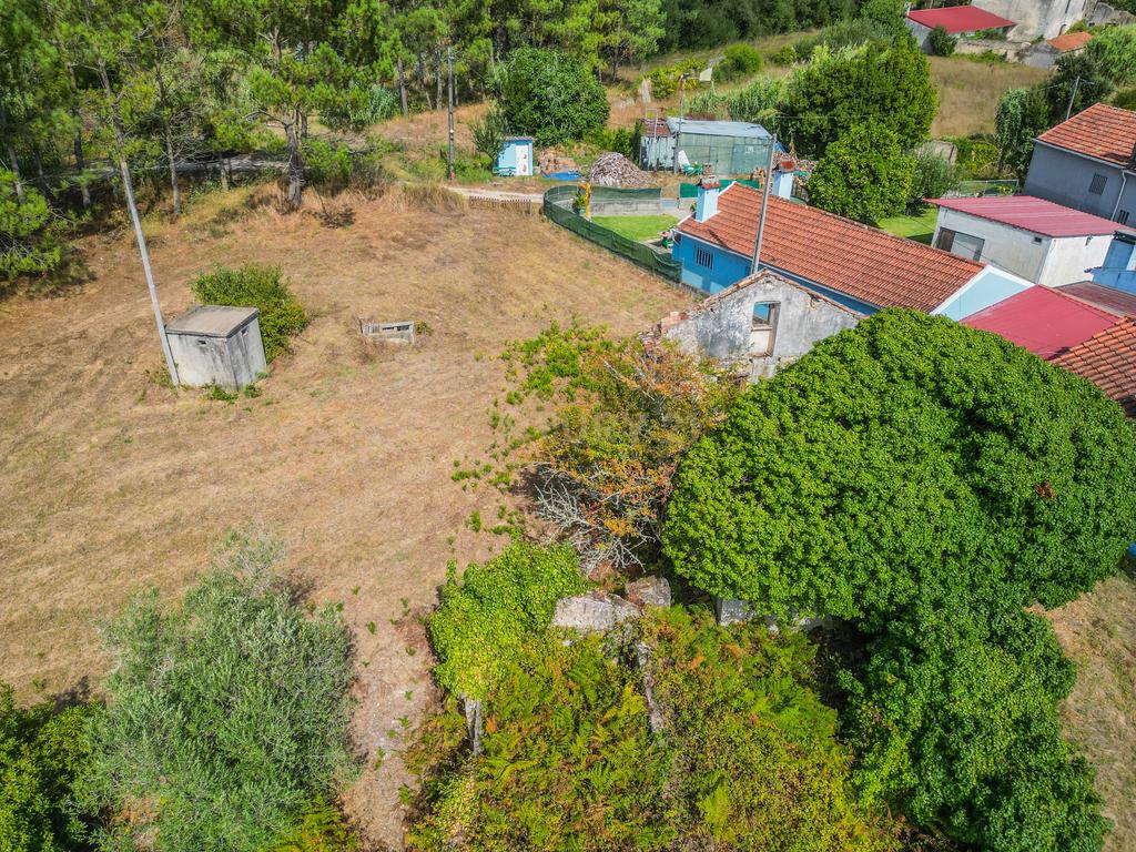 Propriedade com duas casas para reabilitar, terreno e poço na Costeira – Figueira da Foz - Image 23