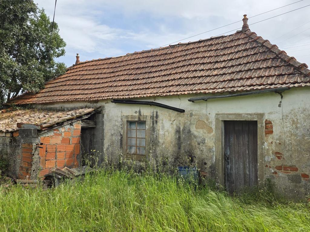 Ruína para renovação completa - Próxima de Pombal - Image 5