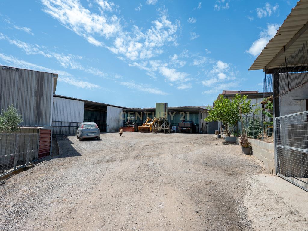 Herdade de 62 Hectares no Coração do Alentejo – Évora - Agricultura - Pecuária - Turismo Rural - Painéis Solares - Image 34