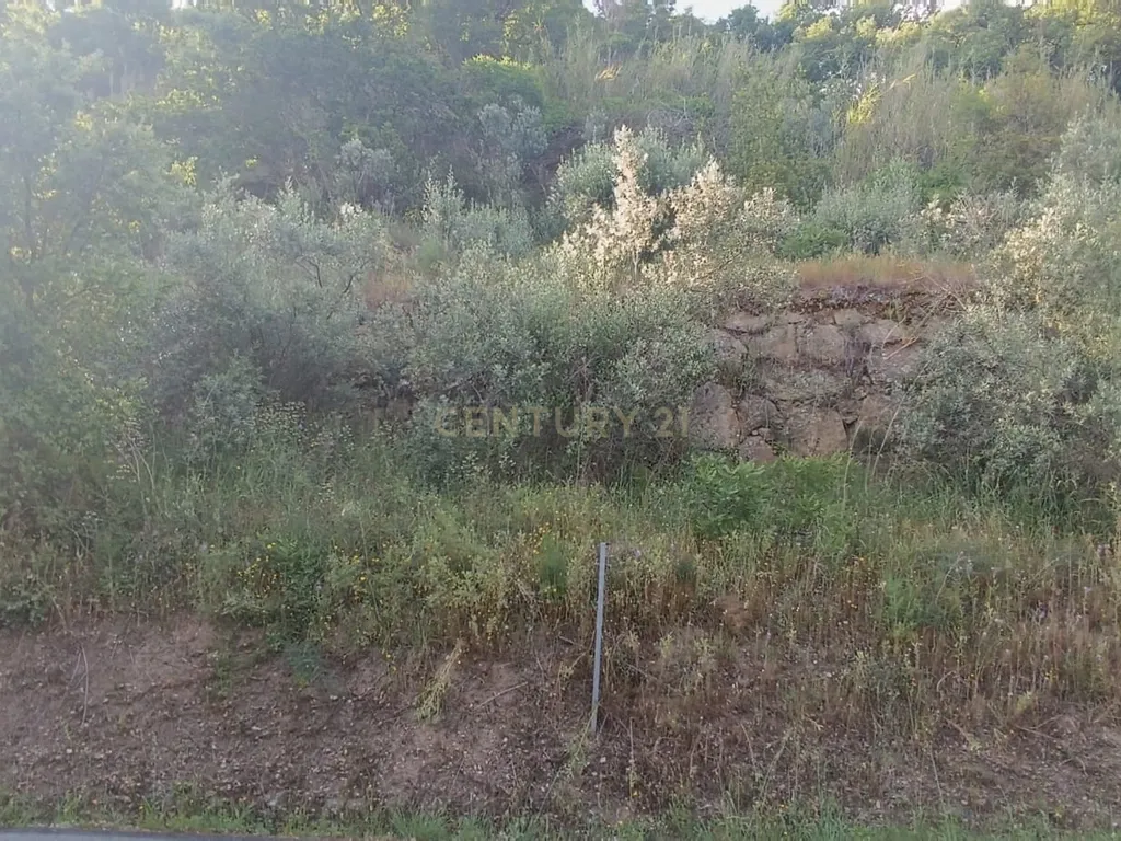 Terreno florestal com vista para a praia fluvial de Porto de Rei em Barqueiros, Mesão Frio às portas do Douro - Image 30