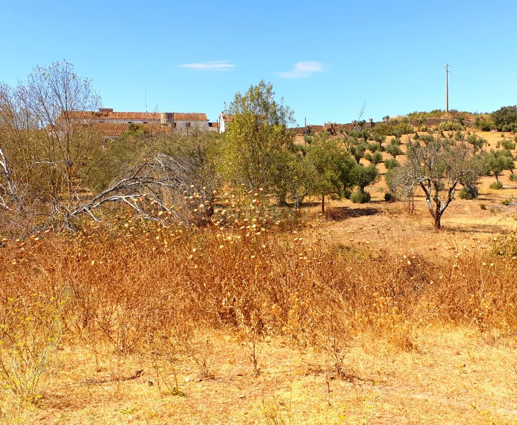 Herdades com produção Vinho, com 157,3ha situada em Terrugem, concelho de Elvas - Image 13
