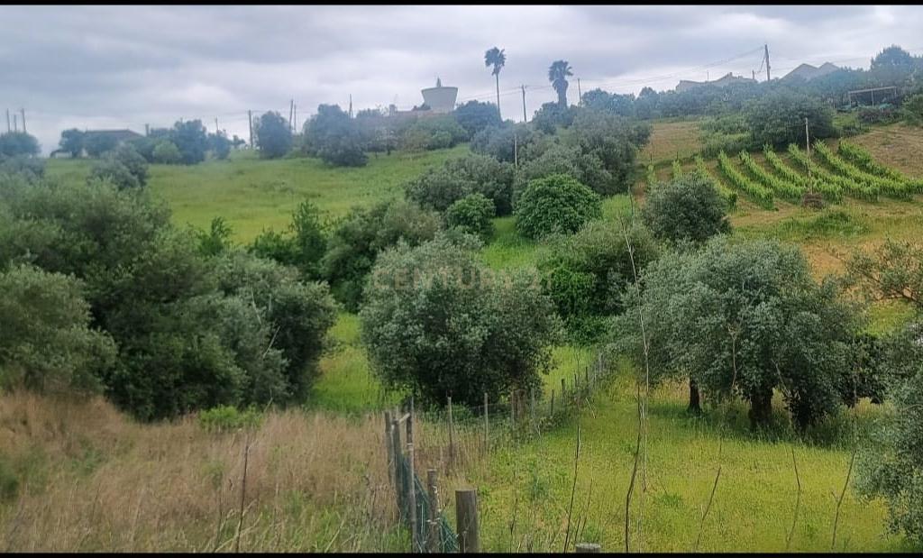Terreno Urbano à Venda – Brogueira, Torres Novas - Image 1