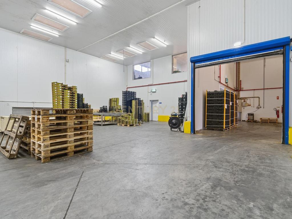 Armazém Industrial junto à Campo Oeste em A-dos-Cunhados - Image 39