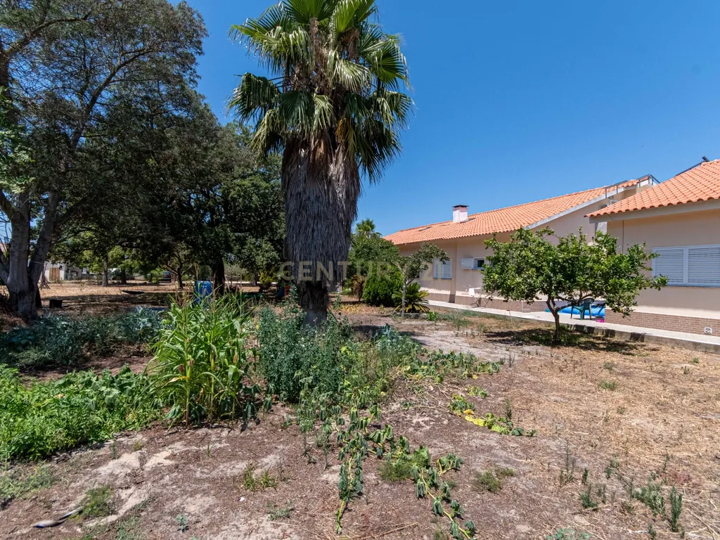 Moradia Exclusiva para Investimento em Quinta do Anjo, Palmela - Image 6