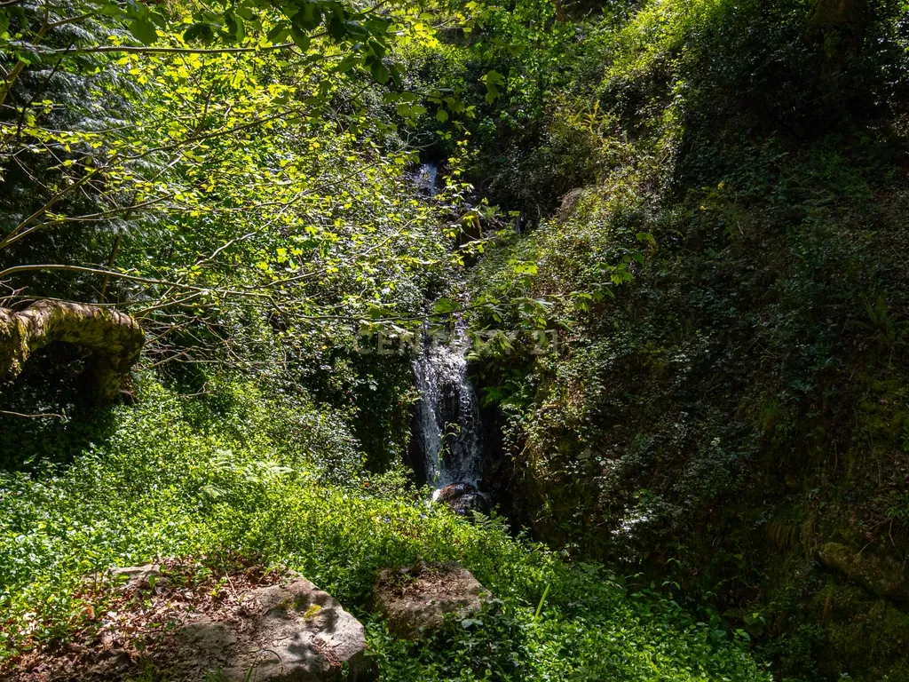 Um Refúgio no Gerês com 2 casas junto ao Rio - Image 55