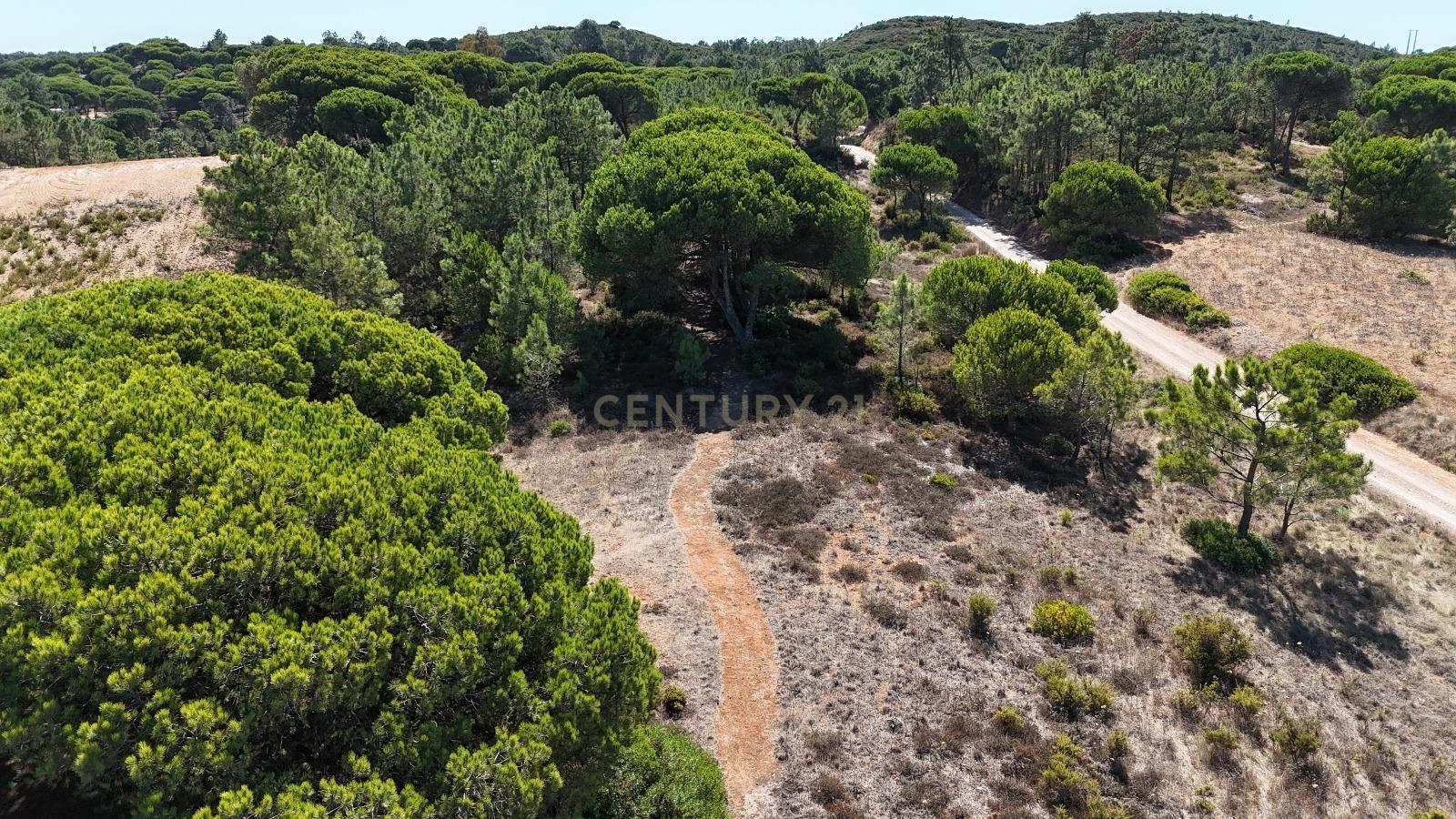 Fotografia 5 de Terreno com área de 10.000m2 com projeto aprovado perto da Aldeia do Meco