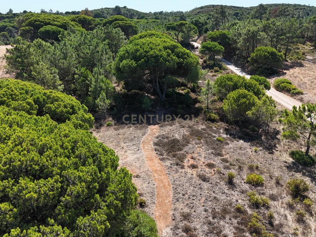Terreno com área de 10.000m2 com projeto aprovado perto da Aldeia do Meco - Image 5