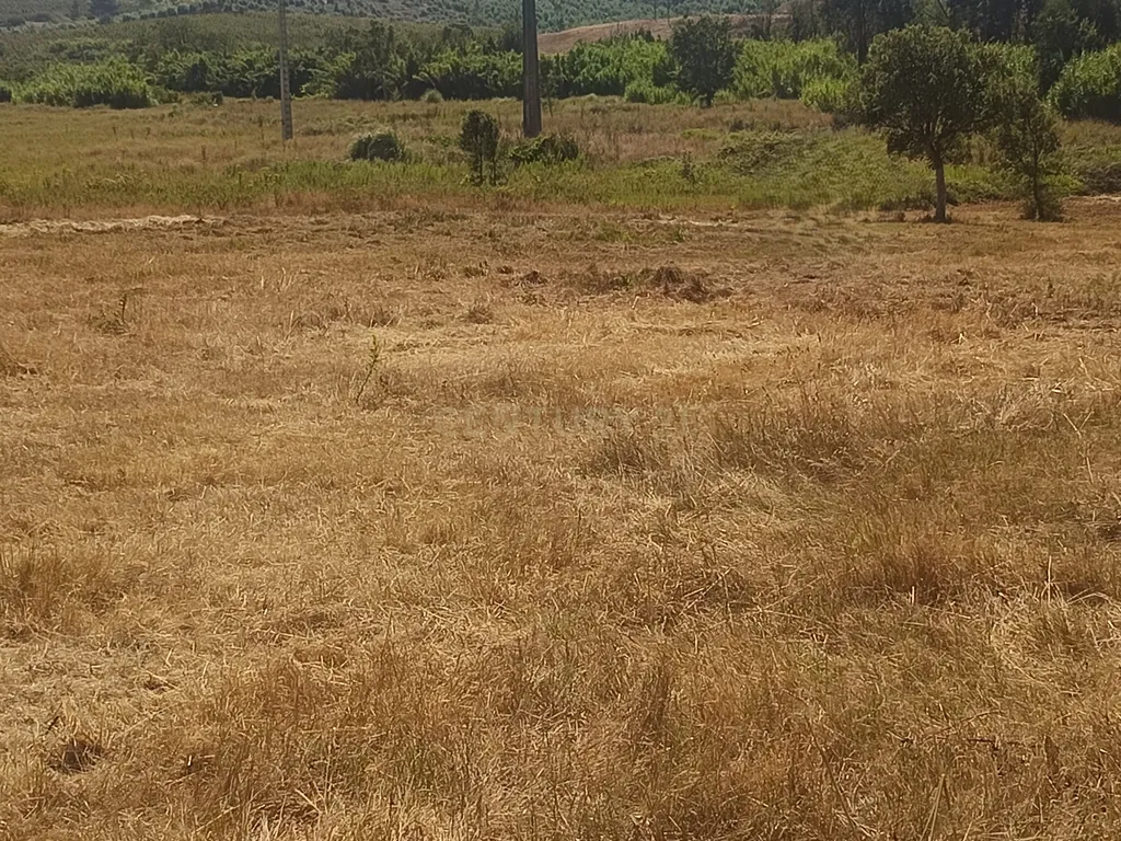 Terreno de 4.520 m2 em Monte Redondo -Torres Vedras - Image 2