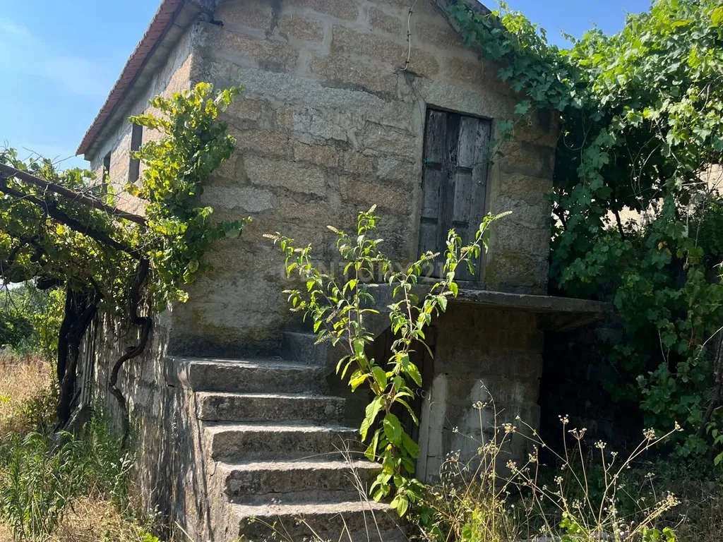 Oportunidade Única: Terreno com 8 300 m² em Padronelo, Amarante - Image 4