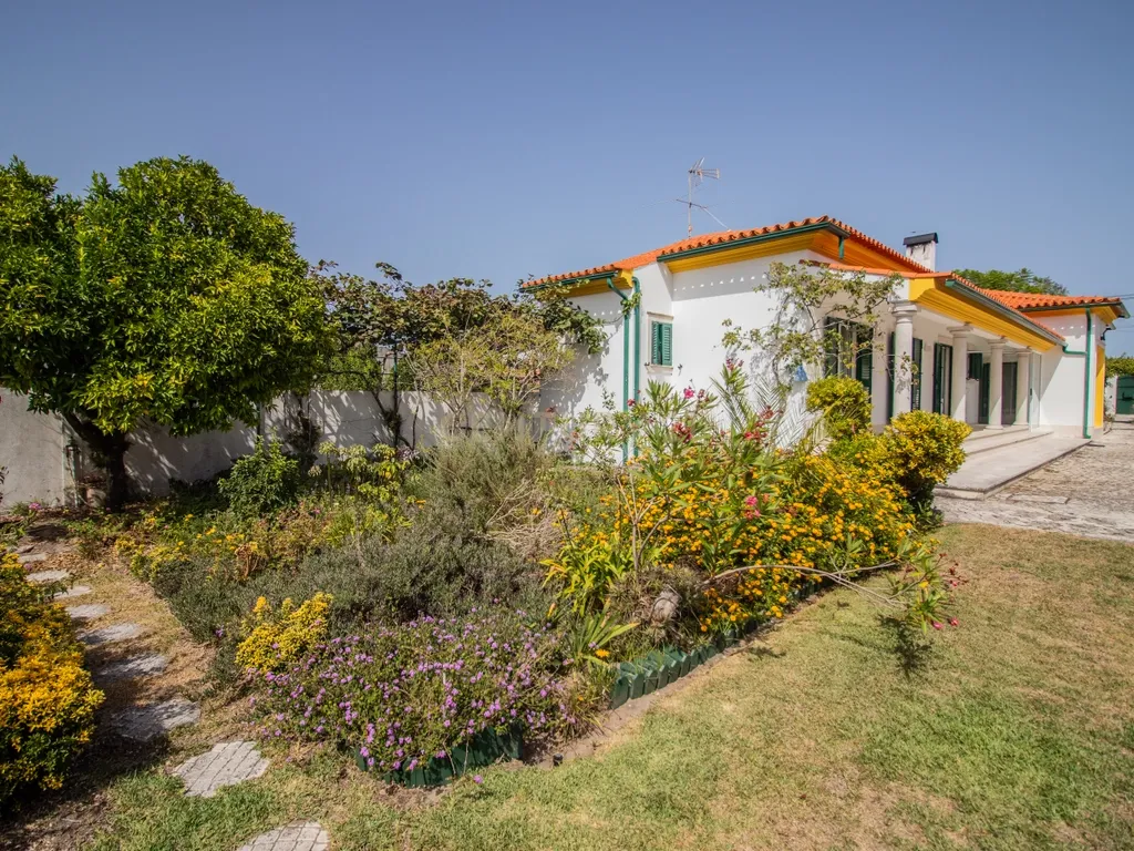 Moradia térrea T3+T0 com piscina, garagem e terreno com 2.257 m², no Ervedal, em Quiaios - Image 62