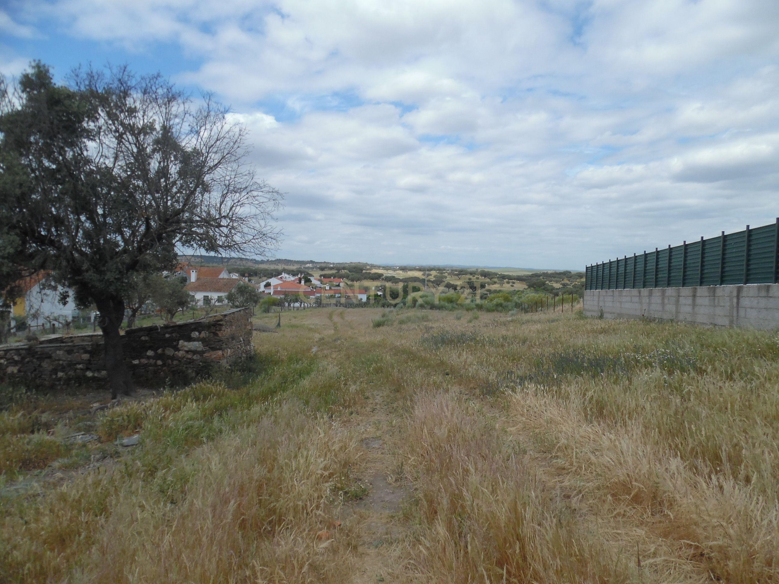 Fotografia 10 de Quinta em Capelins,  Alandroal - Évora,  Oportunidade Única