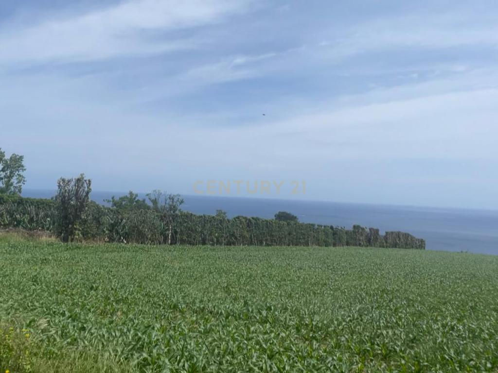 Terreno Agrícola com Armazém e Vista Mar — Um Refúgio Natural na Ribeira das Tainhas!  - Image 8