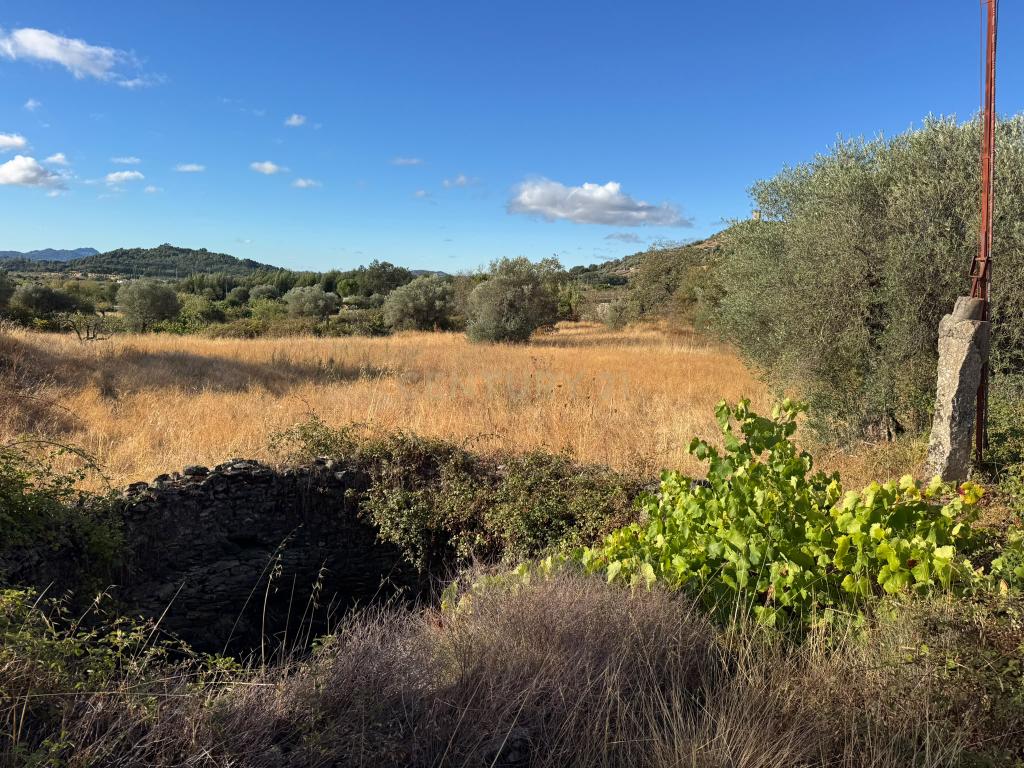 Terreno Rústico, com construção rural em Penamacor, Castelo Branco - Image 13