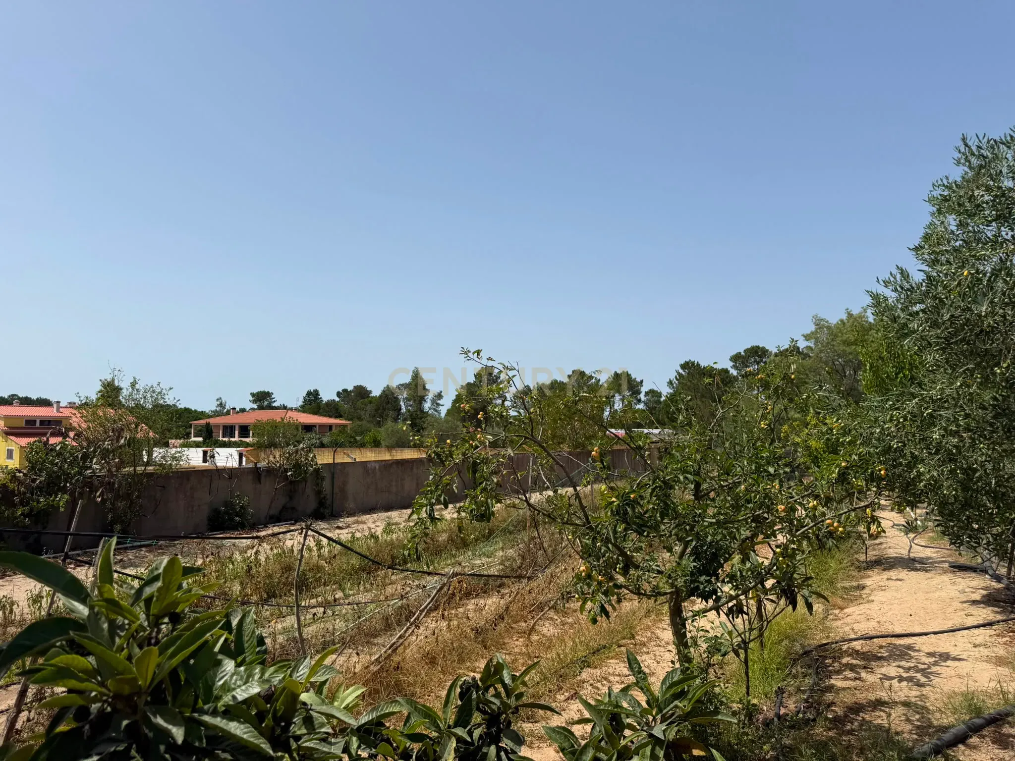 Fotografia 9 de Moradia com 5 QUARTOS. 283 M² DE CASA. 13.338 M² DE TERRENO