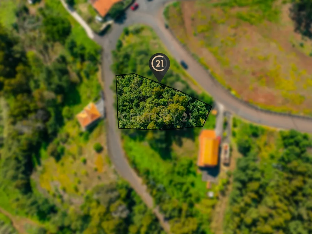 Terreno com Potencial em Zona Verde e Tranquila de Gaula - Image 5