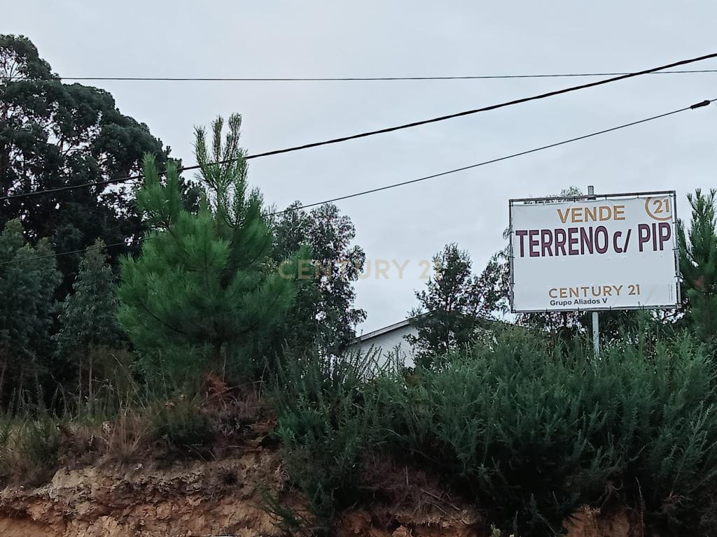 Terreno com 3557 m2 com PIP à Santa Rita - Image 6