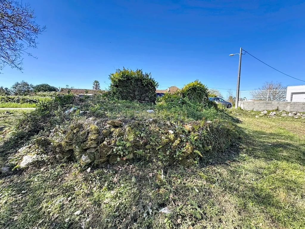 O lugar ideal para construir em plena natureza – Alcobaça - Image 8