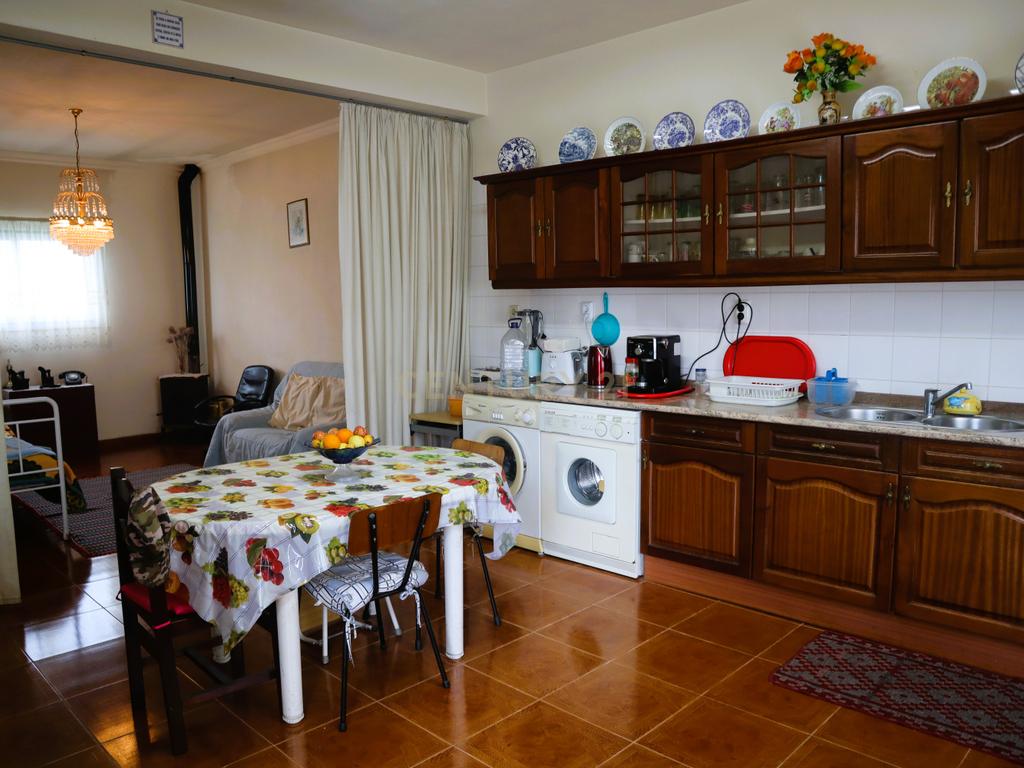 Moradia com Terreno para Venda – Carregueira (Chamusca) , Terreno: 2.120 m² | Moradia com potencial | Árvores de fruto | Água de poço - Image 5
