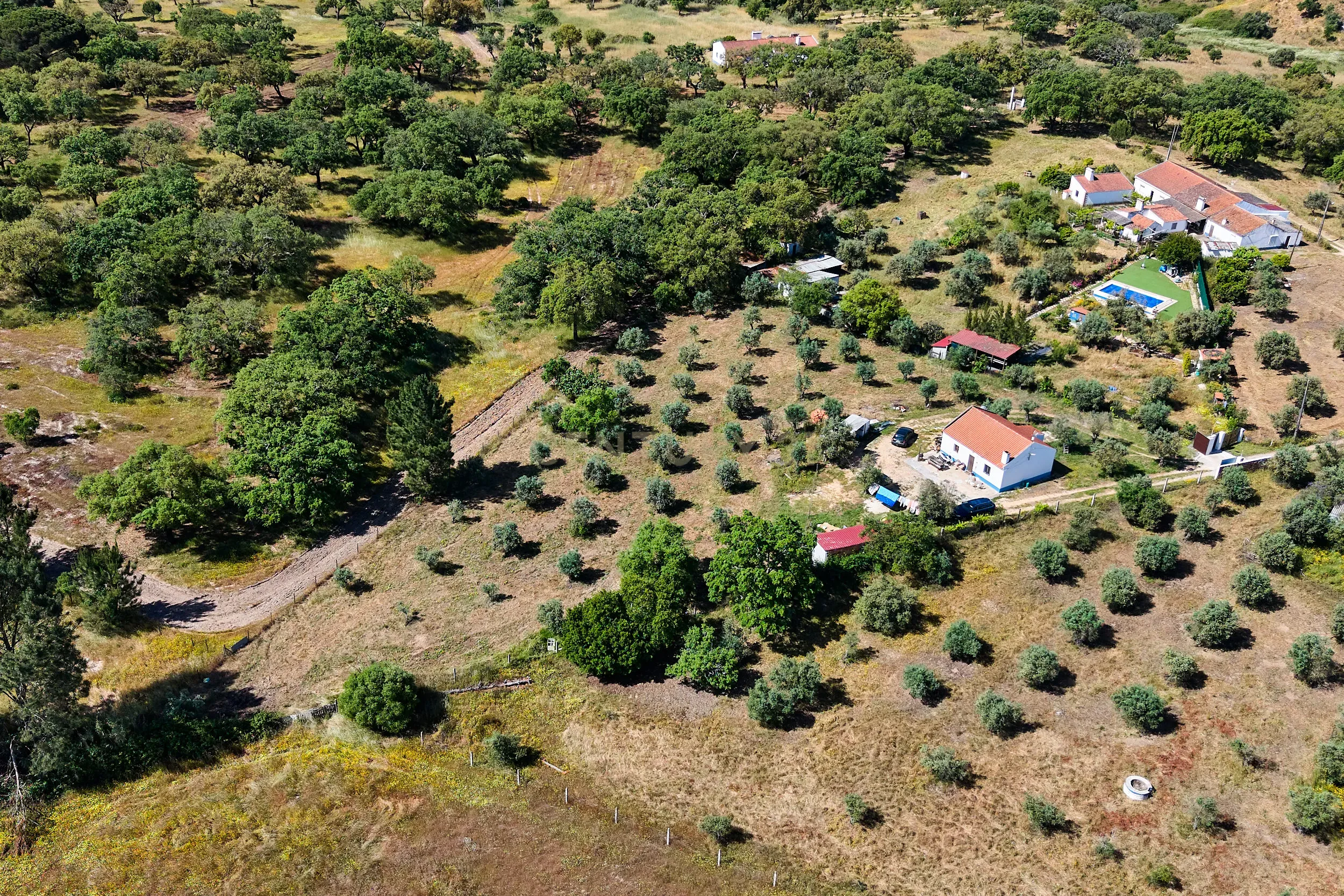 Viva o autêntico Alentejo – Seu refúgio em Ermidas do Sado - Cova do Gato espera por si - Image 20