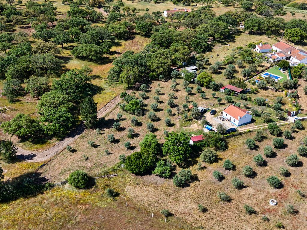 Viva o autêntico Alentejo – Seu refúgio em Ermidas do Sado - Cova do Gato espera por si - Image 20