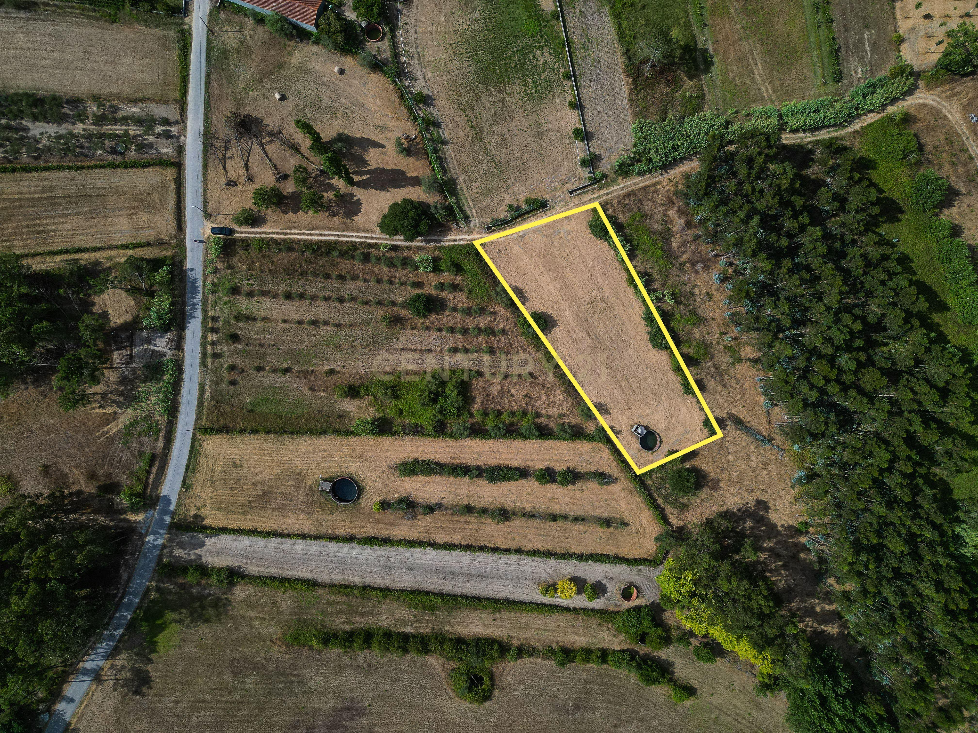 Fotografia 12 de Terreno de cultivo com poço em Cabeça Alta – Seixo de Gatões, Montemor-o-Velho