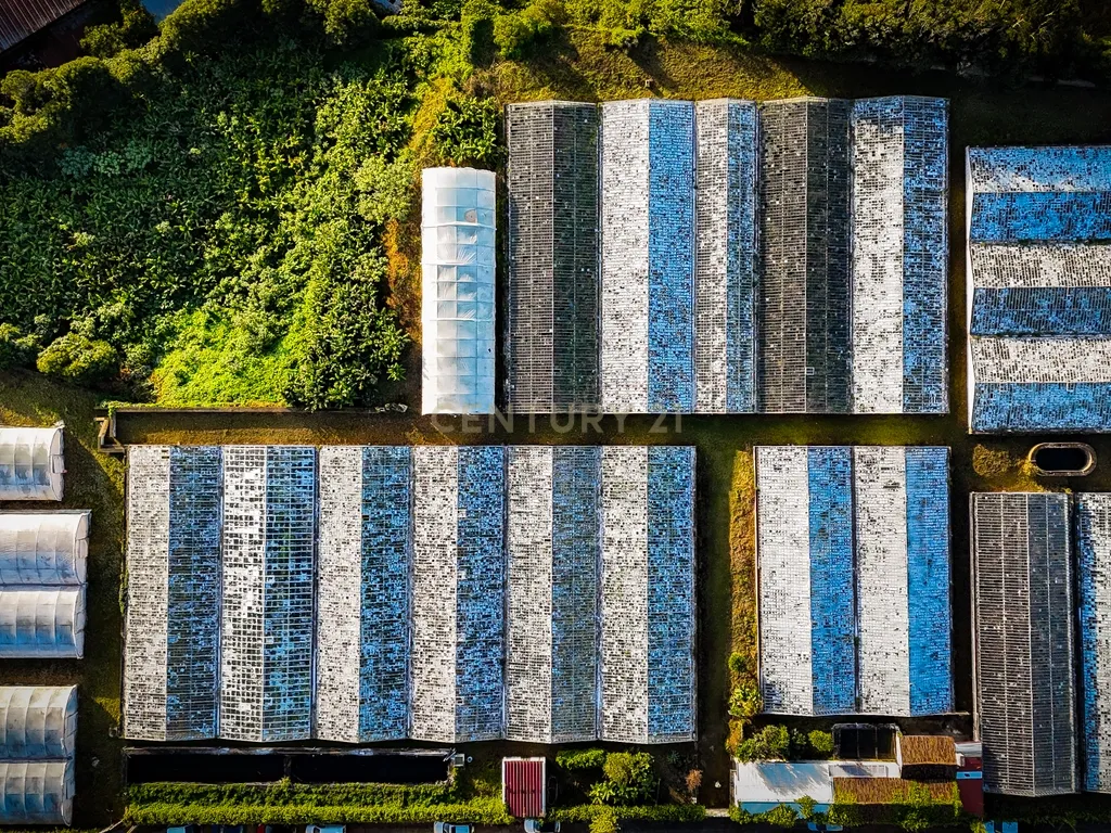 Propriedade Única com Estufas de Ananases e Potencial Urbano — Abelheira de Baixo, São Roque - Açores - Image 17