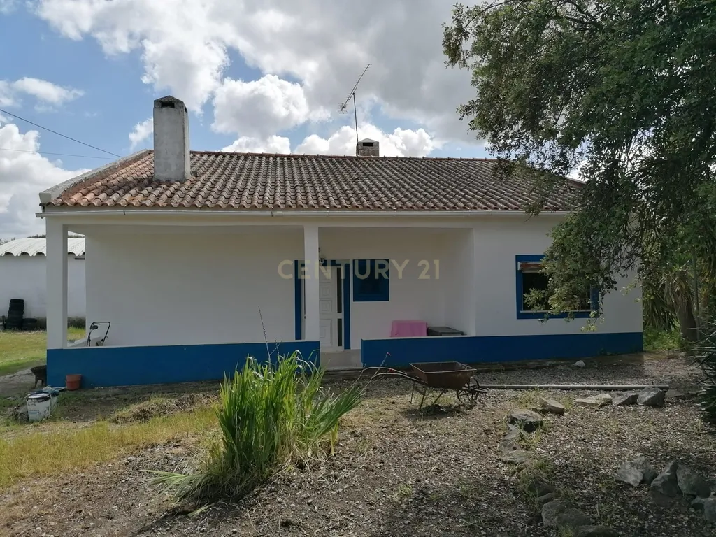 Quinta Rústica em Évora com 8.750 m2 e uma Vista Campestre - Image 4