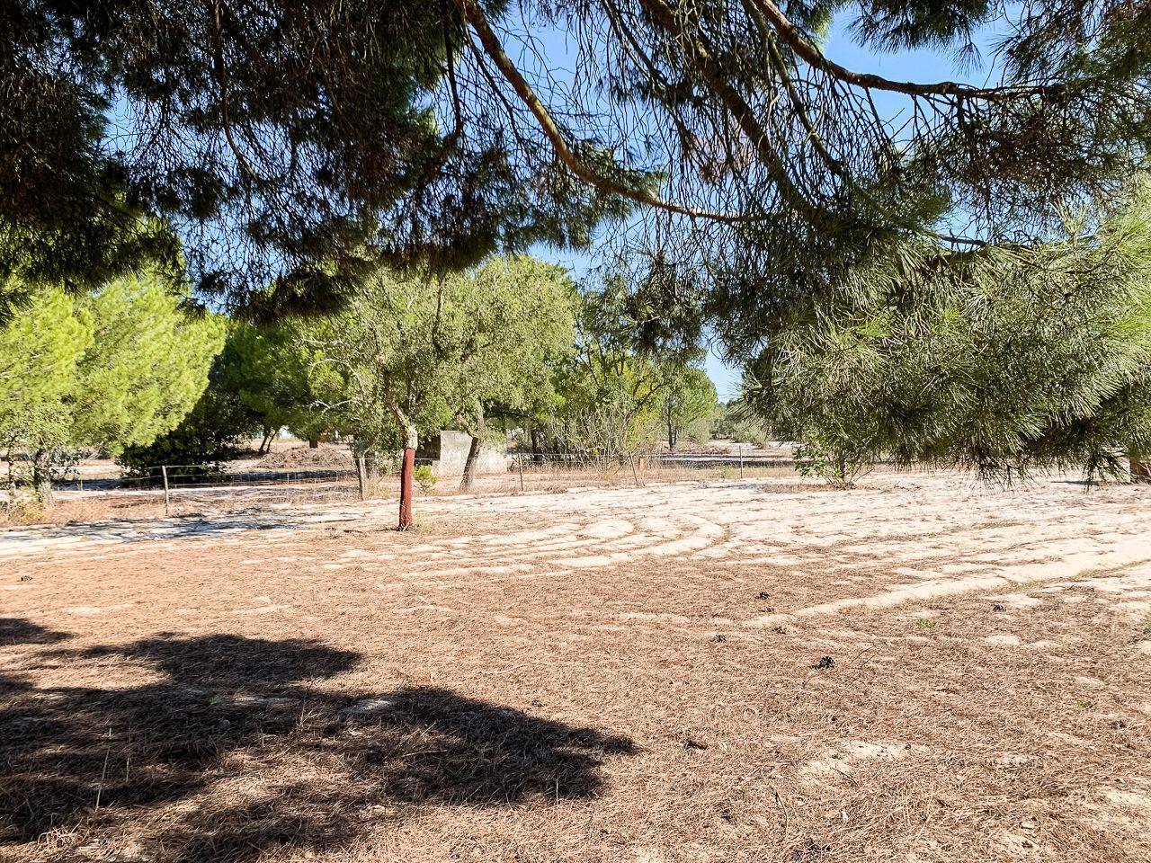 Fotografia 6 de Terreno rústico com 2.600 m² - Vale Gamito, Quinta do Amaro, Grândola