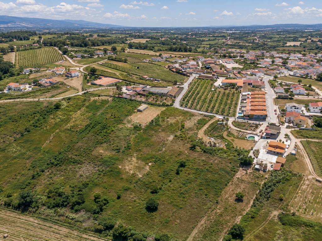 Terreno com PIP aprovado | 3.680 m² | Vista Serra de Montejunto - Image 6