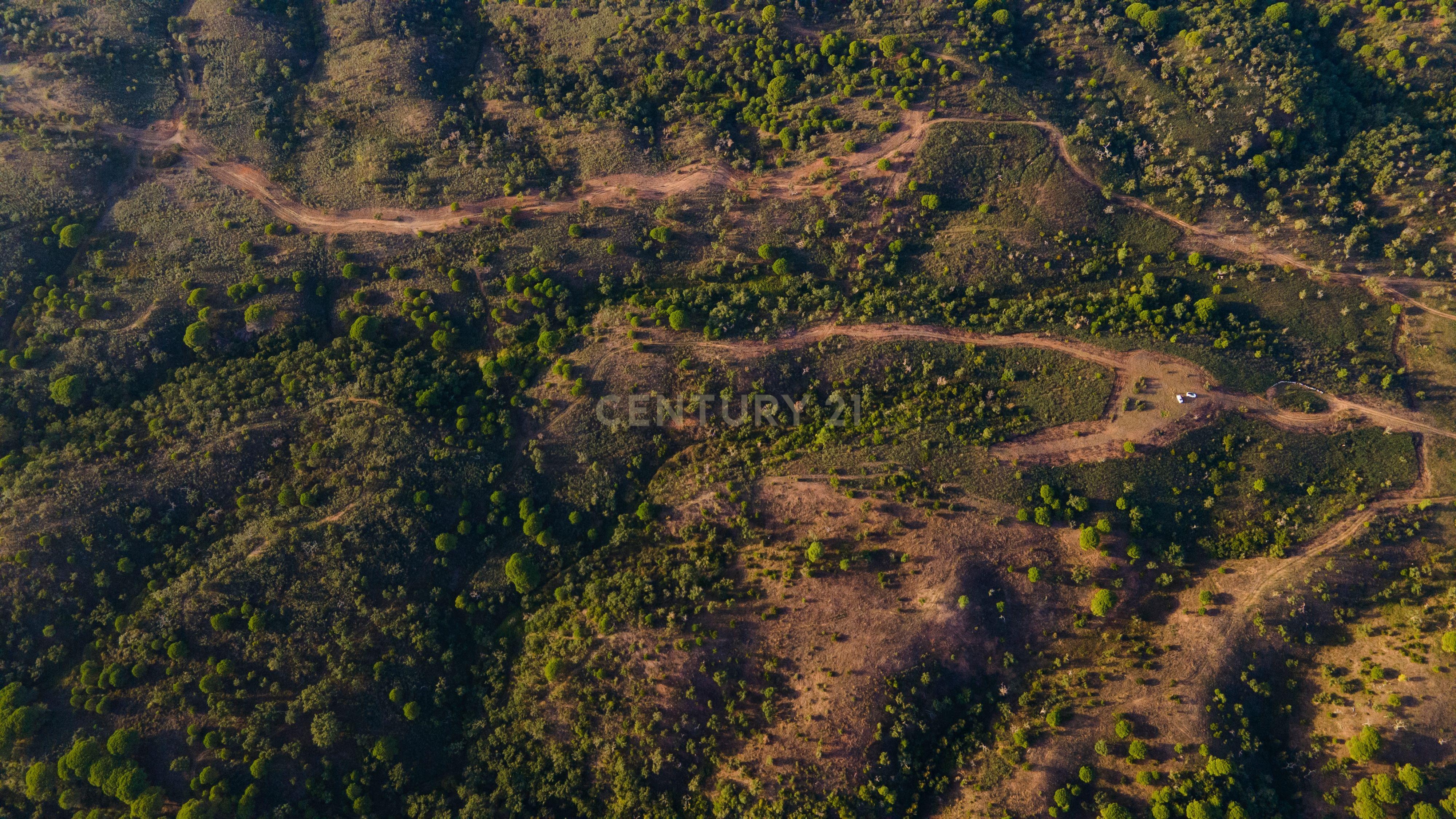 Fotografia 7 de Terreno único com vista mar e elevado potencial para Hotel Rural na Costa Alentejana - Santiago do Cacém