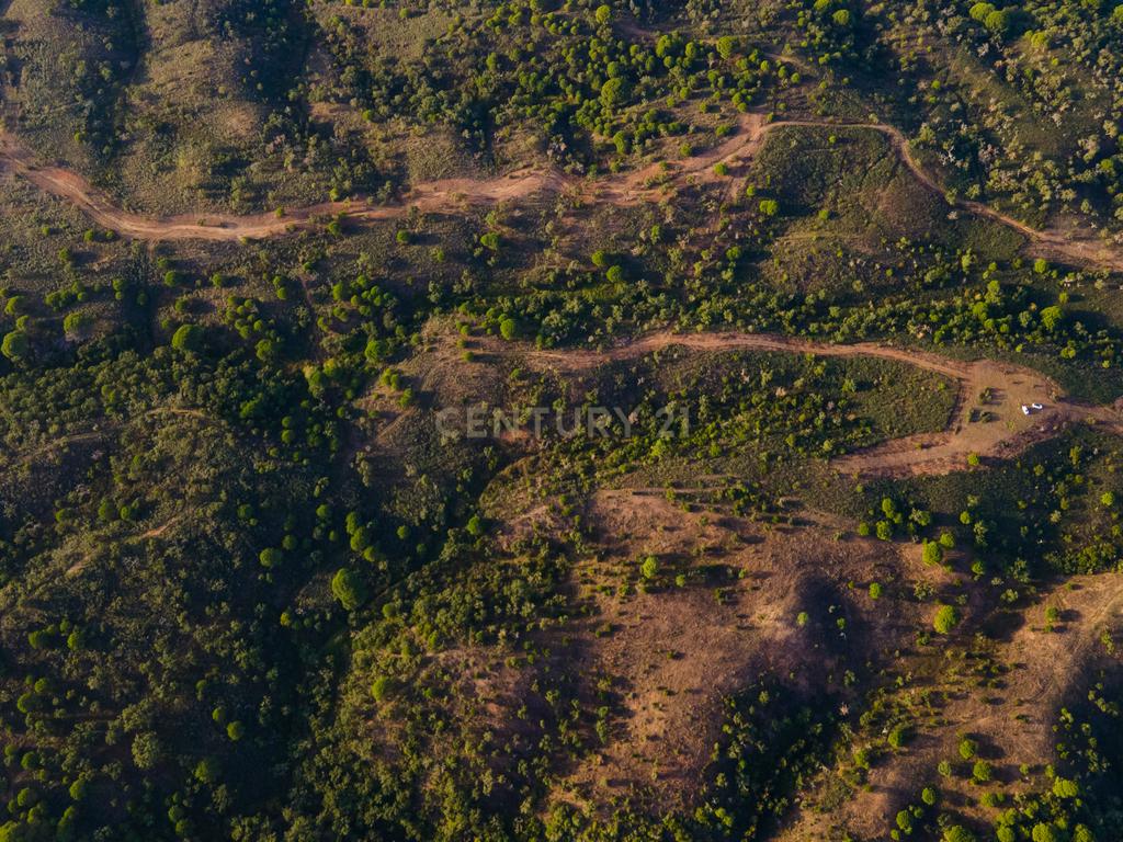 Terreno único com vista mar e elevado potencial para Hotel Rural na Costa Alentejana - Santiago do Cacém - Image 7