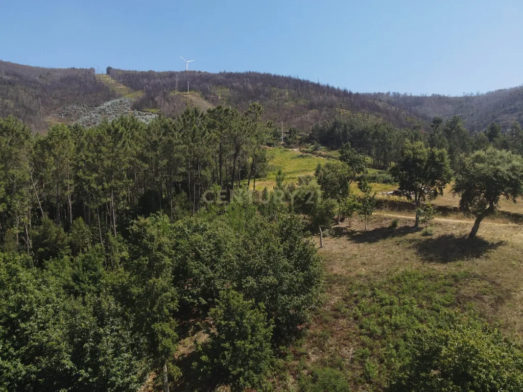 Terreno urbano de 1684m2 para construção com vistas panorâmicas, bom acesso numa localização exceptional e sossegada a 5min. do centro de Lousã - Image 3