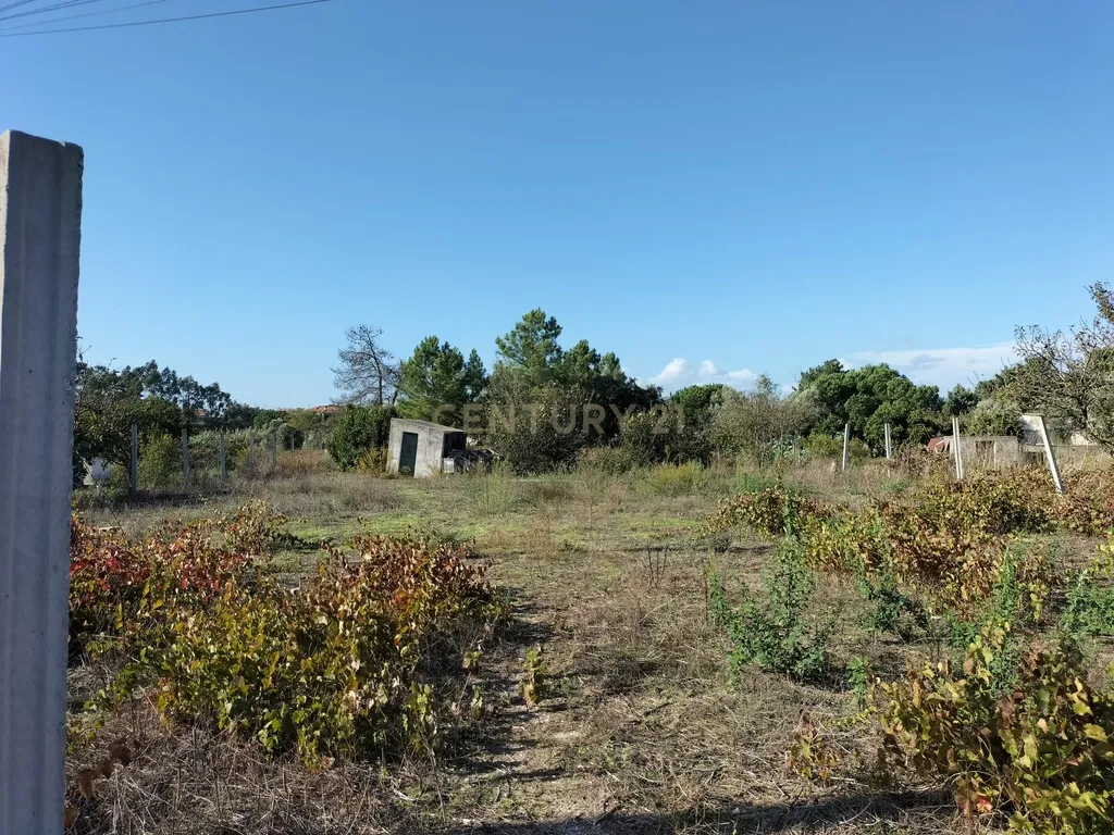 Quintinha em Pinhal Novo - Palmela - Image 1