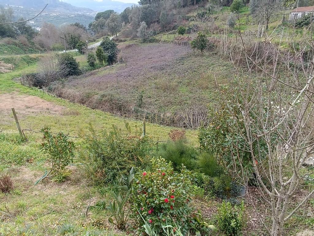 Casa com terreno de construção e agrícola perto do rio Douro em Granja, S. Tomé de Covelas, Baião, Porto - Image 25
