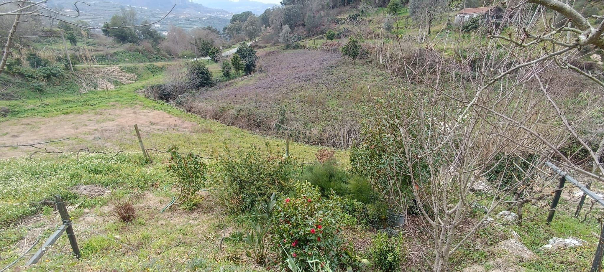 Terreno agrícola com àgua e viabilidade de construção em Granja, S. Tomé de Covelas, Baião, perto do do rio Douro, Porto - Image 40