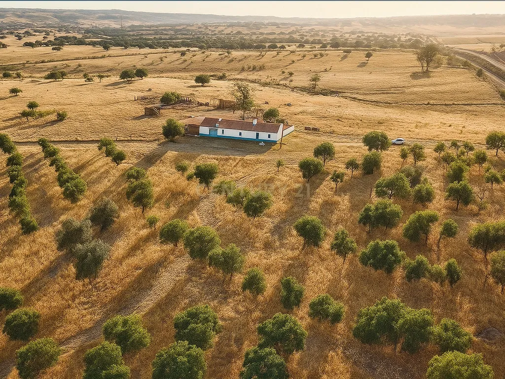 Monte Alentejano com 5 Hectares – Puro Sossego no Coração do Alentejo - Image 25