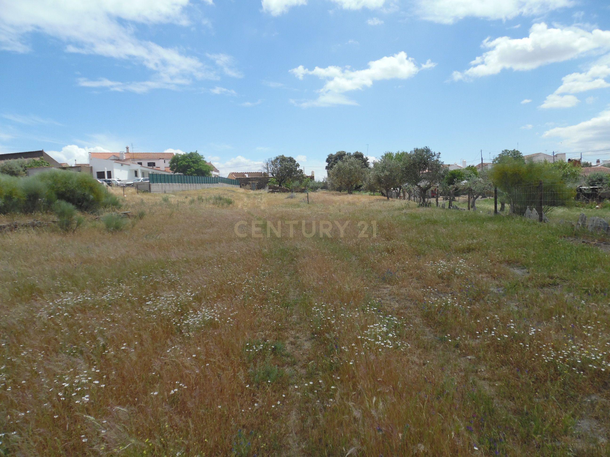 Moradia T3 à venda em Capelins (Santo António), Alandroal — foto 38