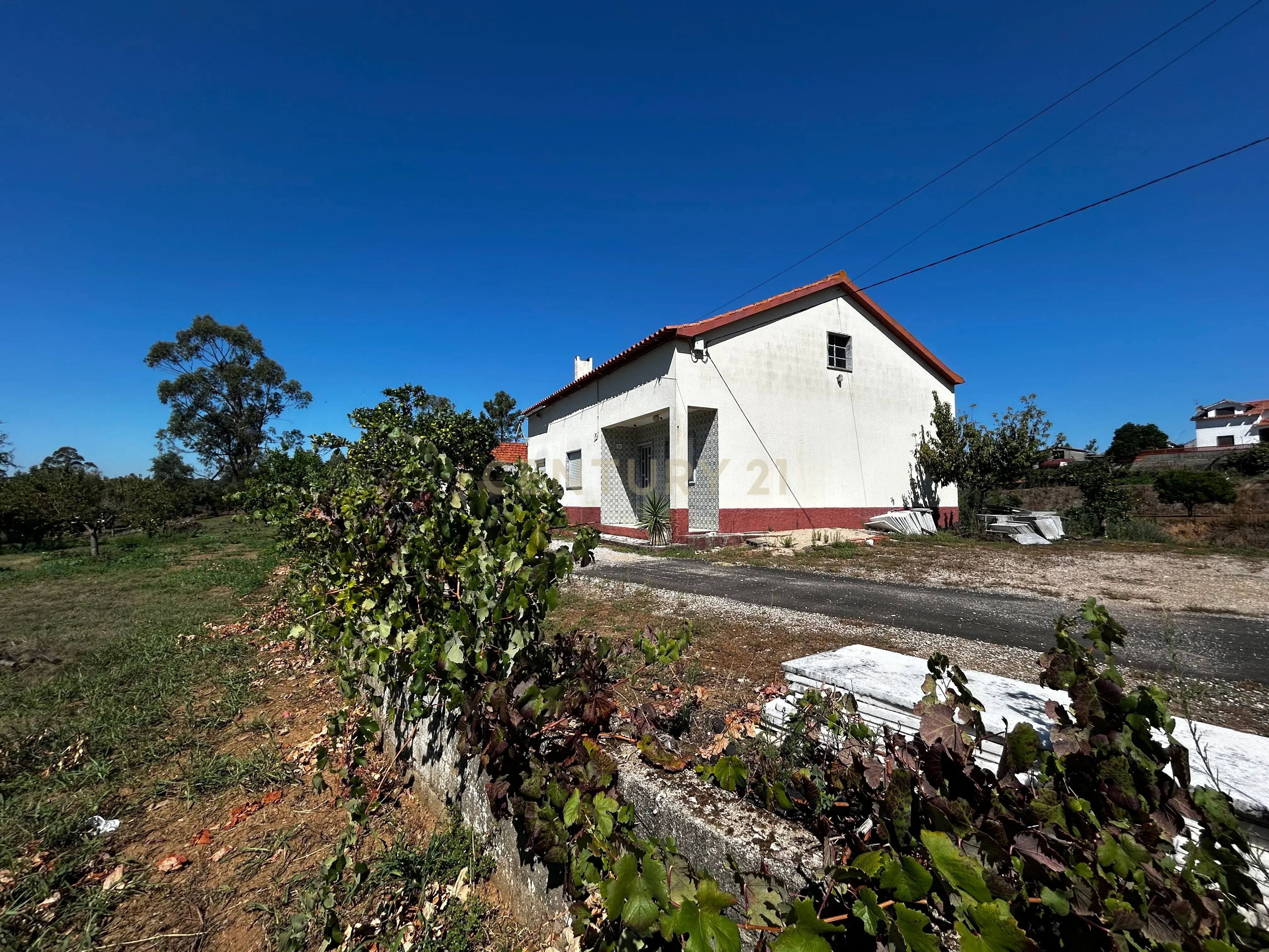 Fotografia 8 de Encantadora Moradia em Casais e Alviobeira, Tomar