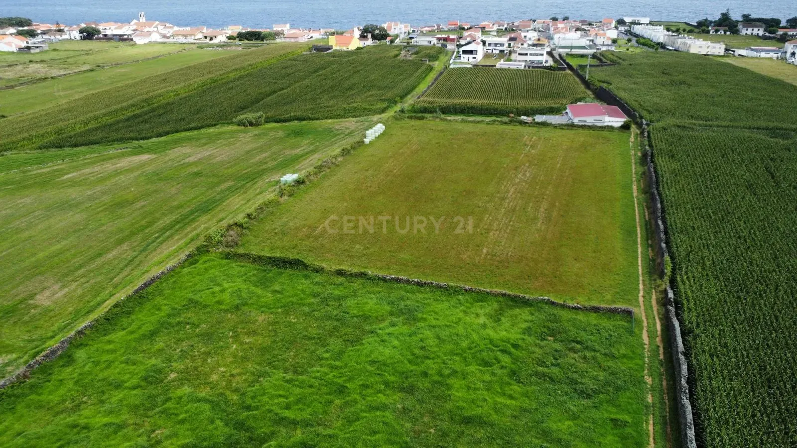 Terreno Agrícola Plano com 6.240 m² | Excelente Exposição Solar | Calhetas