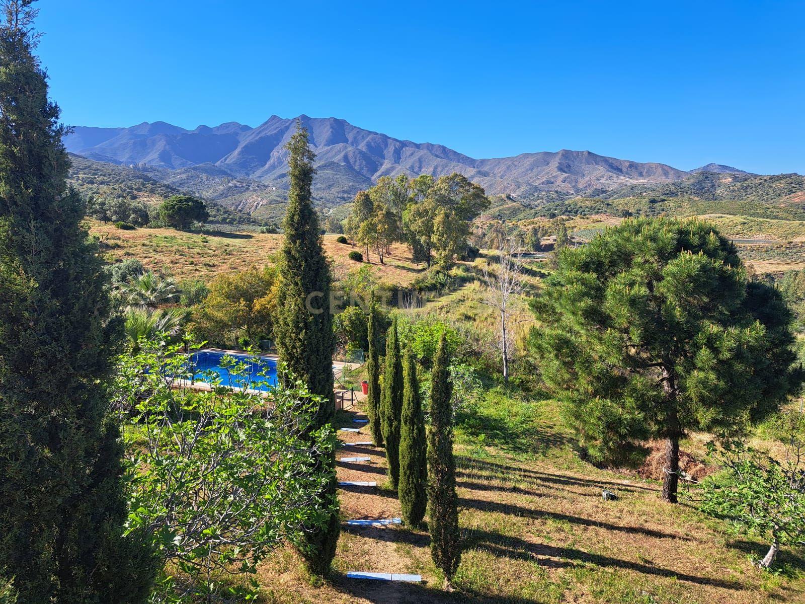 Encantadora Vivenda Rústica à Venda em Entrerríos, Mijas – 1.100.000 € - Image 3