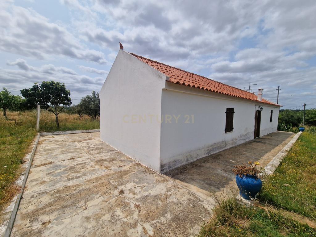 Monte/Terreno em Santiago do Cacém, com Vista Campestre e Árvores Frutíferas - Image 12