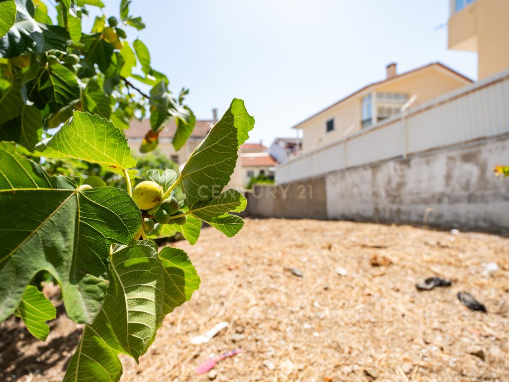 **ESPECTACULAR TERRENO EM LOURES** - Image 8