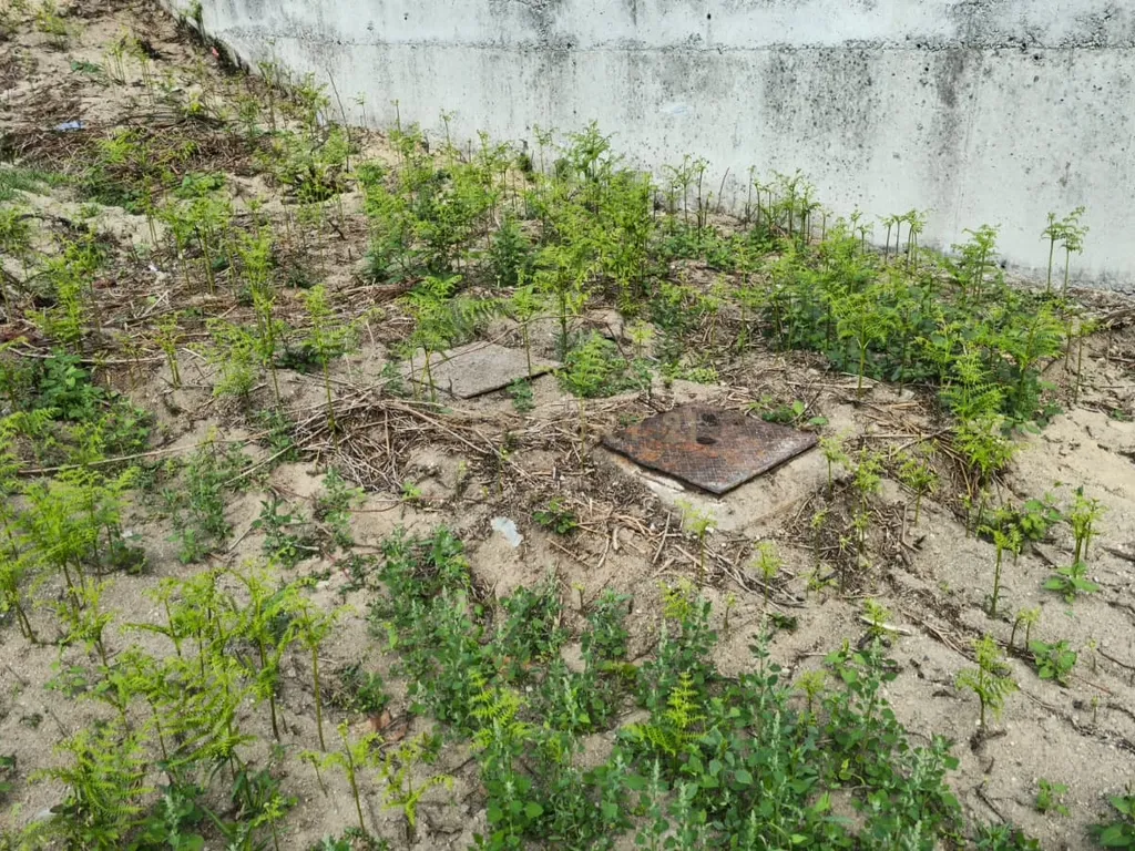 Moradia para recuperação + terreno com 1089m2 com viabilidade de construção - Image 21