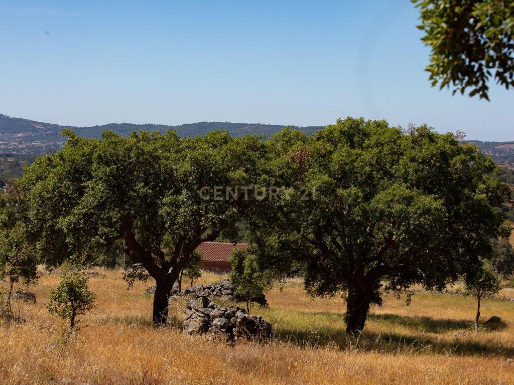 Quinta com 2,5 hectares em Portalegre - Image 8